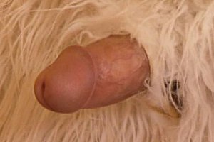 asian色情艳丽美女pics